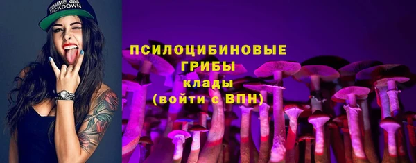 PSILOCYBIN Алексин