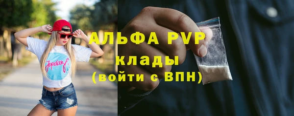 гашик Арсеньев