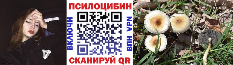 ссылка на мегу ссылки  Почеп  Псилоцибиновые грибы мухоморы  площадка официальный сайт  как найти  